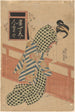 Kobieta w kimono w kratę - Keisai Eisen — widok dzieła