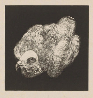 Kiekendief - Theo van Hoytema