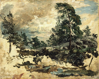 Studium terenowe - Kilian Zoll — widok dzieła