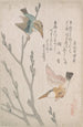 Martins-pêcheurs et saules - Kubo Shunman — widok dzieła