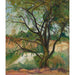 Reprodukcja obrazu L'Arbre - Suzanne Valadon