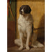 Reprodukcja obrazu Czekanie - Jean-Léon Gérôme
