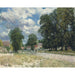 Reprodukcja obrazu La Route de Marly-le-Roi - Alfred Sisley