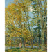 Reprodukcja obrazu La baigneuse - Childe Hassam