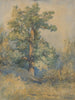 szkic drzewa - Ladislav Mednyánszky — widok dzieła