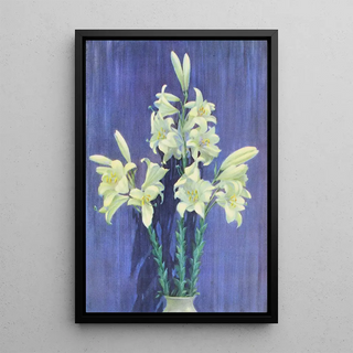 Lafayette F Cargill - Madonna Lily.webp