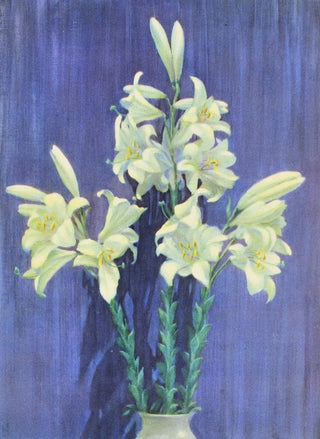 Lafayette F Cargill - Madonna Lily.webp