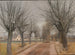 Droga w pobliżu Vindern, Zealand - Laurits Andersen Ring — widok dzieła