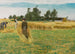 Czas zbiorów w Ladby - Laurits Andersen Ring — widok dzieła