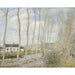 Reprodukcja obrazu Kanał Loing - Alfred Sisley