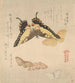 Le Manuel de peinture de Flock of Butterflies Guncho Gafu 3 - Kubo Shunman — widok dzieła