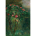 Reprodukcja obrazu Le Rosier Fleuri - Gustave Caillebotte