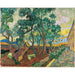 Reprodukcja obrazu Ogrod Szpitala Świętego Pawła - Vincent van Gogh