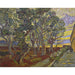 Reprodukcja obrazu Ogrod Szpitala Świętego Pawła - Vincent van Gogh
