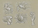 Koncepcje na temat zabezpieczenia banknotu: Pegaz, gołąb, głowa kobiety, herb i ręka z różą - Leo Gestel — widok dzieła