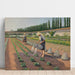 Reprodukcja obrazu Ogrodnicy - Gustave Caillebotte