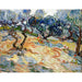 Reprodukcja obrazu Les Oliviers - Vincent Van Gogh