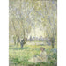 Reprodukcja obrazu Les Saules - Claude Monet