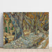 Reprodukcja obrazu Les grands platanes (cantonniers de Saint-Rémy) - Vincent van Gogh