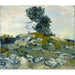 Reprodukcja obrazu Les rochers - Vincent van Gogh