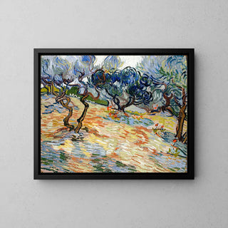 Les Oliviers - Vincent Van Gogh