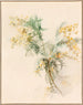 Mimosas - Lilly Walther — widok dzieła