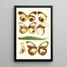 Novitates zoologicae pl 1 - Lionel Walter Rothschild — oprawiony obraz na ścianie
