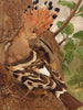 Huppe - Léon-Paul Robert — widok dzieła