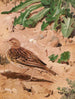 Pipit farlouse - Léon Paul Robert — widok dzieła