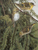 Collection - Léon Paul Robert — widok dzieła