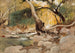 Mission Canyon Santa Barbara - Lockwood de Forest — widok dzieła