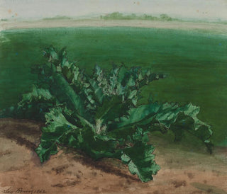Lon Bonvin - Study of a Plant Possibly Thistle.webp