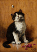 Chaton avec papillon - Léon Huber — widok dzieła