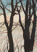 Drzewa w śniegu - Léon Spilliaert — widok dzieła