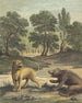 La Lionne Et L'ours The Lion And The Bear - Louis-Simon Lempereur — widok dzieła