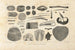 Recherches sur les poissons fossiles Pl100 - Louis Agassiz — widok dzieła