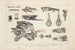Recherches sur les poissons fossiles Pl101 - Louis Agassiz — widok dzieła