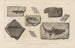 Recherches sur les poissons fossiles Pl136 - Louis Agassiz — widok dzieła