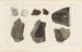 Recherches sur les poissons fossiles Pl184 - Louis Agassiz — widok dzieła