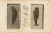 Recherches sur les poissons fossiles Pl192 - Louis Agassiz — widok dzieła