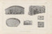 Recherches sur les poissons fossiles Pl261 - Louis Agassiz — widok dzieła