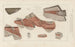 Recherches sur les poissons fossiles Pl276 - Louis Agassiz — widok dzieła