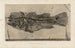 Recherches sur les poissons fossiles Pl347 - Louis Agassiz — widok dzieła