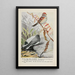 Dotty le bruant des arbres Slaty le junco - Louis Agassiz Fuertes — oprawiony obraz na ścianie