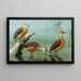 Dendrocygne siffleur, dendrocygne d'Amérique, dendrocygne fauve - Louis Agassiz Fuertes — oprawiony obraz na ścianie