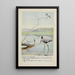 Rattles le Martin-pêcheur Teeter le Chevalier grivelé Longlegs le Grand Héron bleu - Louis Agassiz Fuertes — oprawiony obraz na ścianie