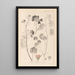 Herbier de la flore française Pl0035 - Louis Antoine Cusin — oprawiony obraz na ścianie