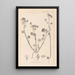 Herbier de la flore française Pl0054 - Louis Antoine Cusin — oprawiony obraz na ścianie