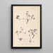 Herbarium francuskiej flory Pl0065 - Louis Antoine Cusin — oprawiony obraz na ścianie