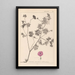 Herbier de la flore française Pl0068 - Louis Antoine Cusin — oprawiony obraz na ścianie